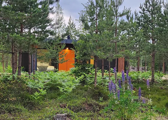 Forrest Glamp Saulkrasti