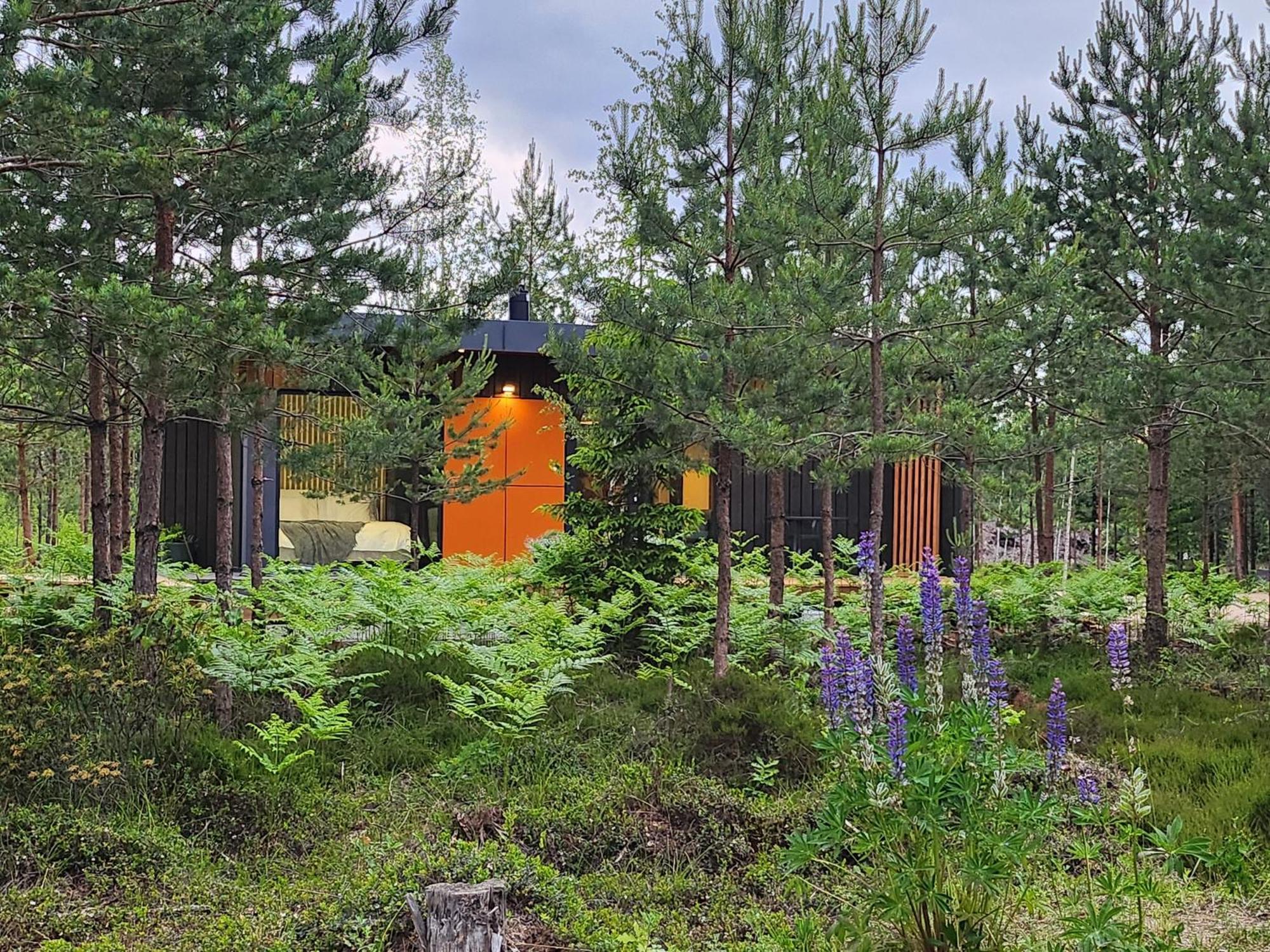 Forrest Glamp Dom wakacyjny *