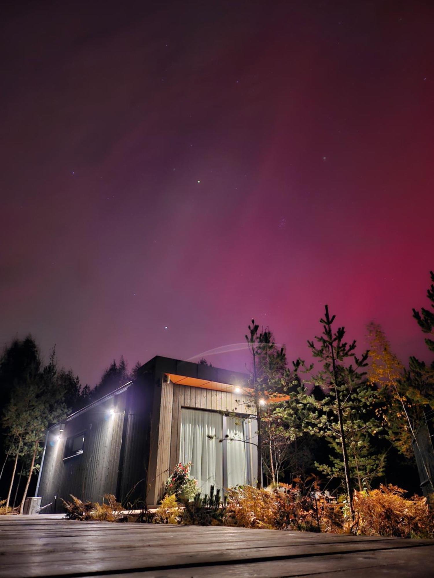 Forrest Glamp Casa vacanze