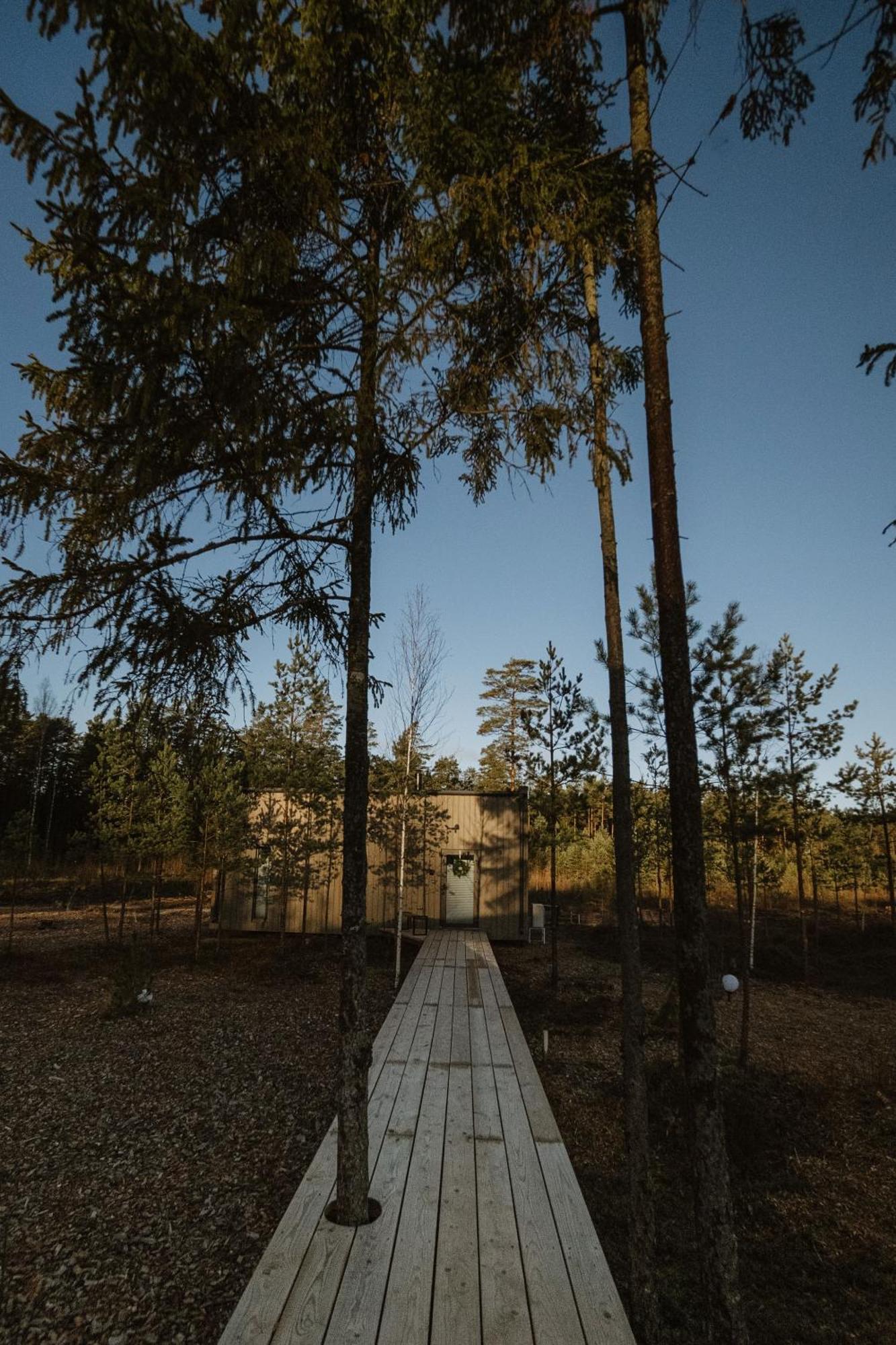 Forrest Glamp Dom wakacyjny